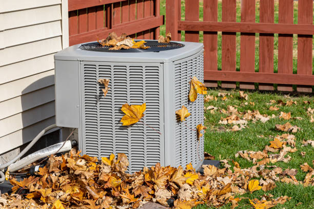 Best Best HVAC companies  in Alamo, TX